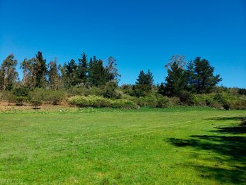Parcelas de 20.000 m² entre Quintay y Curauma | Casablanca