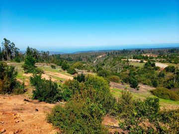 Parcelas de 20.000 m² entre Quintay y Curauma | Casablanca