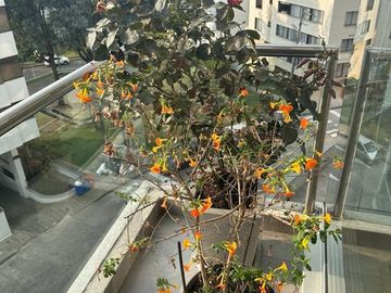 VENTA DE APARTAMENTO DE 90 M2 DE 2 ALCOBAS EN PALERMO, MANIZALES CALDAS