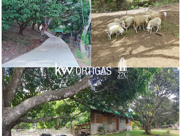 Only 1,100/sqm! 8 Hectare Mango Farm for Sale in Nasugbu