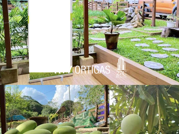 Only 1,100/sqm! 8 Hectare Mango Farm for Sale in Nasugbu