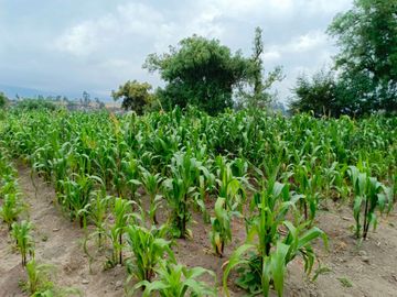 Terreno de Venta en Latacunga