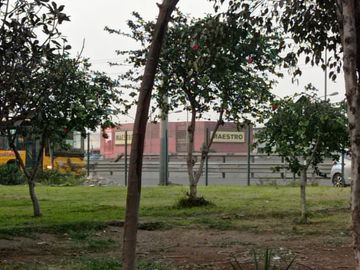 ¡Oportunidad! Venta de Casa Comercial en Plena Panamericana Norte, Los Olivos