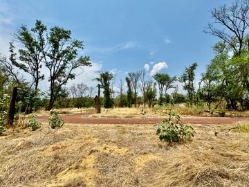 Terreno en Venta en El Carmen Atlixco, Puebla Camino a Nexatengo