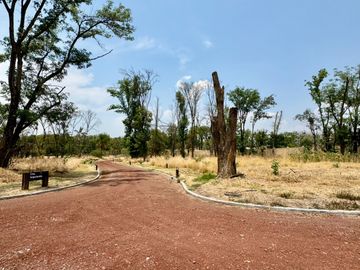 Terreno en Venta en El Carmen Atlixco, Puebla Camino a Nexatengo