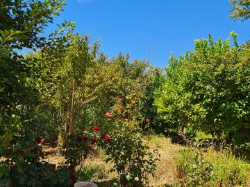 Se vende casa sólida en parcela de 5.000 m2,Pelarco