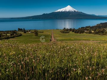 PARCELAS EN ENSENADA CON VISTA AL LAGO Y VOLCAN - PUERTO ENSENADA