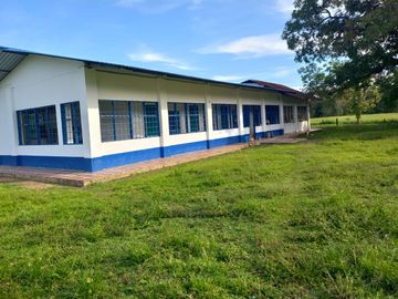 VENTA FINCA PALMERA Y GANADERA BARRANCABERMEJA
