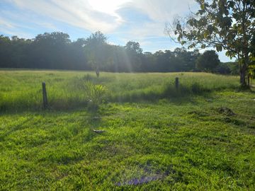 VENTA FINCA PALMERA Y GANADERA BARRANCABERMEJA
