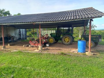 VENTA FINCA PALMERA Y GANADERA BARRANCABERMEJA