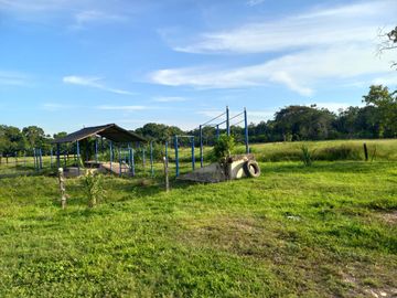 VENTA FINCA PALMERA Y GANADERA BARRANCABERMEJA