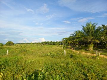 VENTA FINCA PALMERA Y GANADERA BARRANCABERMEJA