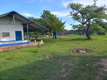 VENTA FINCA PALMERA Y GANADERA BARRANCABERMEJA