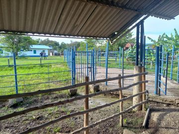 VENTA FINCA PALMERA Y GANADERA BARRANCABERMEJA