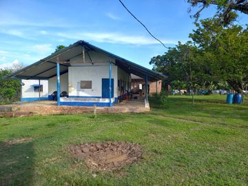 VENTA FINCA PALMERA Y GANADERA BARRANCABERMEJA