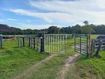 VENTA FINCA PALMERA Y GANADERA BARRANCABERMEJA