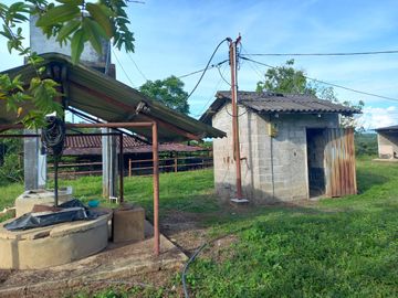 VENTA FINCA PALMERA Y GANADERA BARRANCABERMEJA