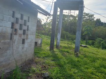 VENTA FINCA PALMERA Y GANADERA BARRANCABERMEJA