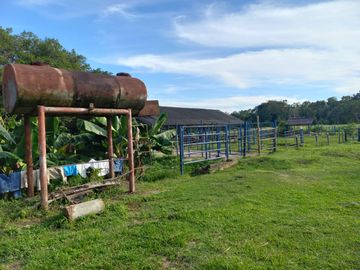 VENTA FINCA PALMERA Y GANADERA BARRANCABERMEJA