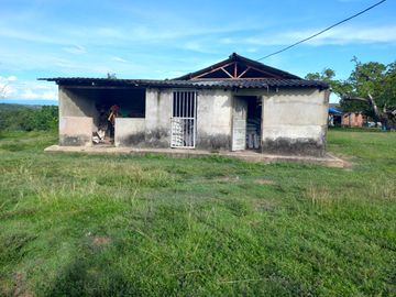 VENTA FINCA PALMERA Y GANADERA BARRANCABERMEJA