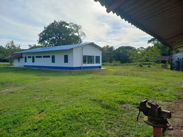 VENTA FINCA PALMERA Y GANADERA BARRANCABERMEJA