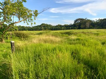 VENTA FINCA PALMERA Y GANADERA BARRANCABERMEJA