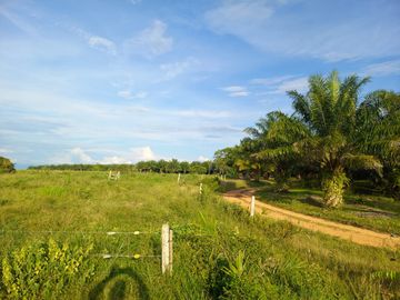 VENTA FINCA PALMERA Y GANADERA BARRANCABERMEJA