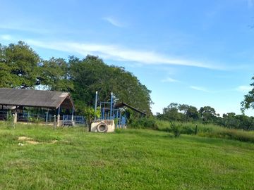 VENTA FINCA PALMERA Y GANADERA BARRANCABERMEJA