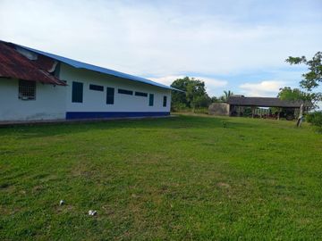 VENTA FINCA PALMERA Y GANADERA BARRANCABERMEJA