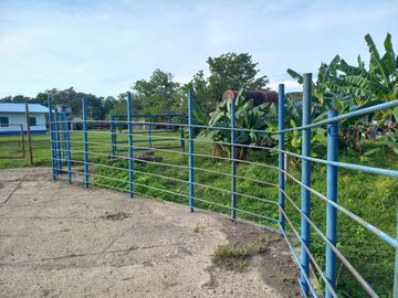 VENTA FINCA PALMERA Y GANADERA BARRANCABERMEJA