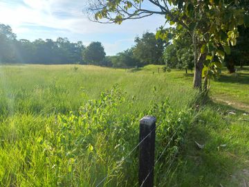 VENTA FINCA PALMERA Y GANADERA BARRANCABERMEJA