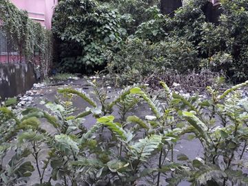 Commercial lot for Sale in Val. City (200)