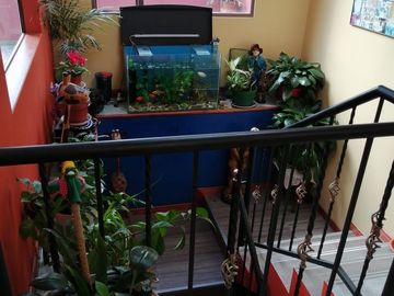 Casa en Venta – SUBA LISBOA - $ 360.000.000