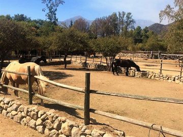 VENDE CASA EN PARCELA 5000 M2, PARQUE CANTILLANA, PAINE