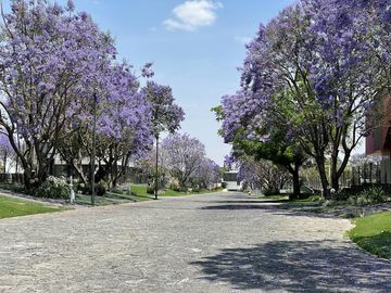 Espectacular Terreno en venta Arauca 2, Zapopan, Jalisco, Lote 222 superficie de terreno 383.113 m², zona Valle Real, Mitica, Olivos