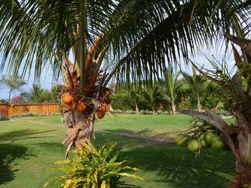 casa de venta cerca al mar en puerto cayo manabi