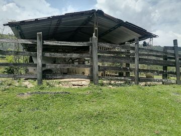 Venta Finca Ganadera Granada Antioquia