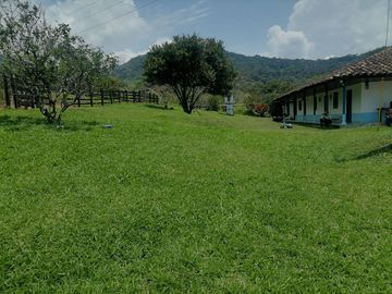 Venta Finca Ganadera Granada Antioquia