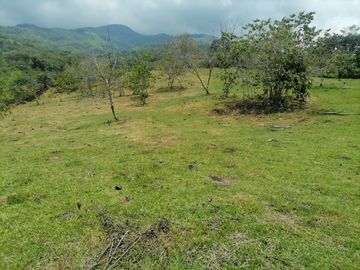 Venta Finca Ganadera Granada Antioquia