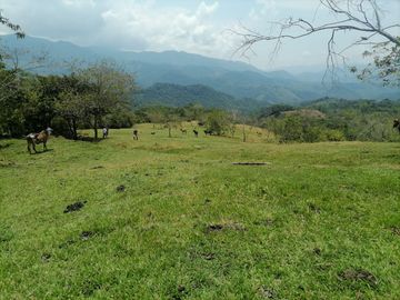 Venta Finca Ganadera Granada Antioquia