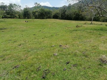 Venta Finca Ganadera Granada Antioquia