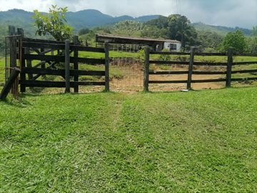 Venta Finca Ganadera Granada Antioquia