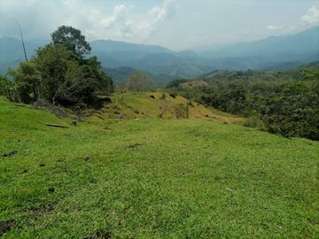 Venta Finca Ganadera Granada Antioquia