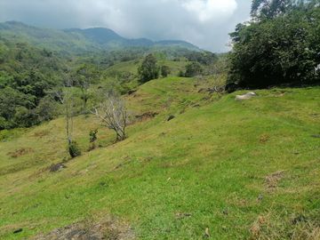 Venta Finca Ganadera Granada Antioquia