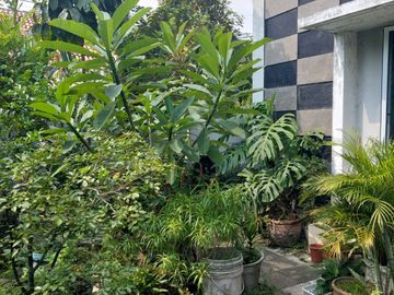Dijual Rumah Cluster Emerald Serpong Park Tangerang Selatan Bagus Murah Siap Huni Lokasi Strategis Selangkah Ke Pintu Tol Kunciran