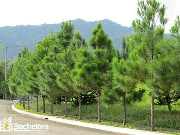 Camella Cebu Riverdale-4BR Emerald- RFO in Pit-os, Talamban, Cebu City For Sale