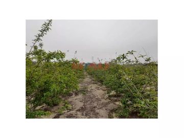 Se Vende Terreno En Huaral