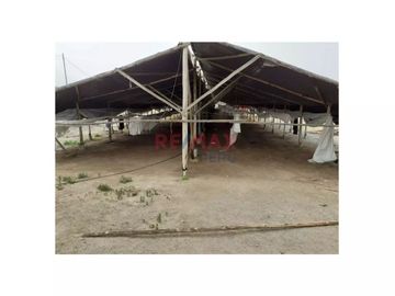 Se Vende Terreno En Huaral