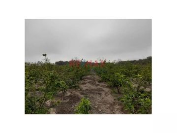 Se Vende Terreno En Huaral