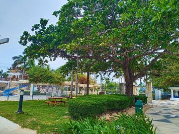 Lot For Sale in Batangas